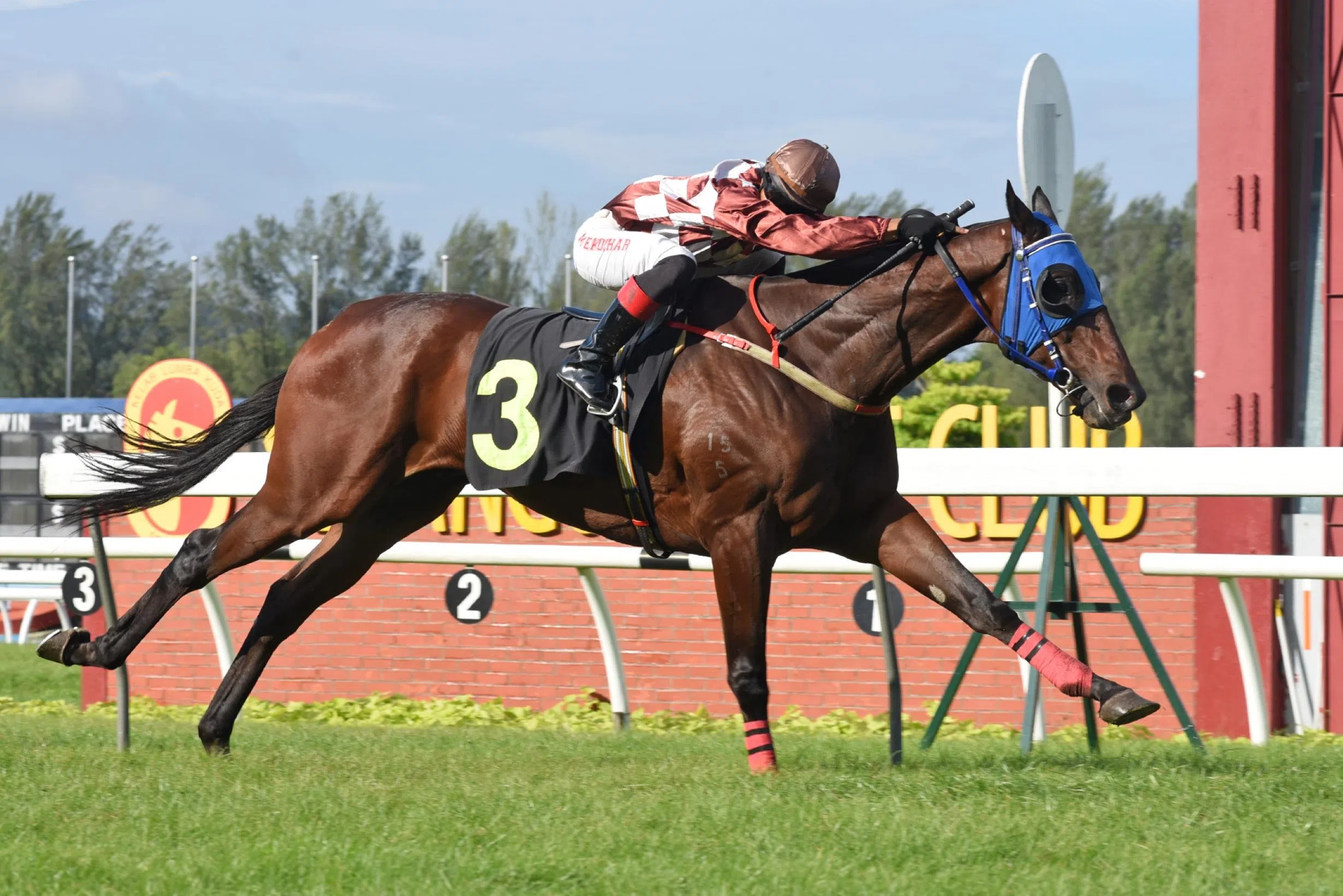 Mr Big Brother raring to go again